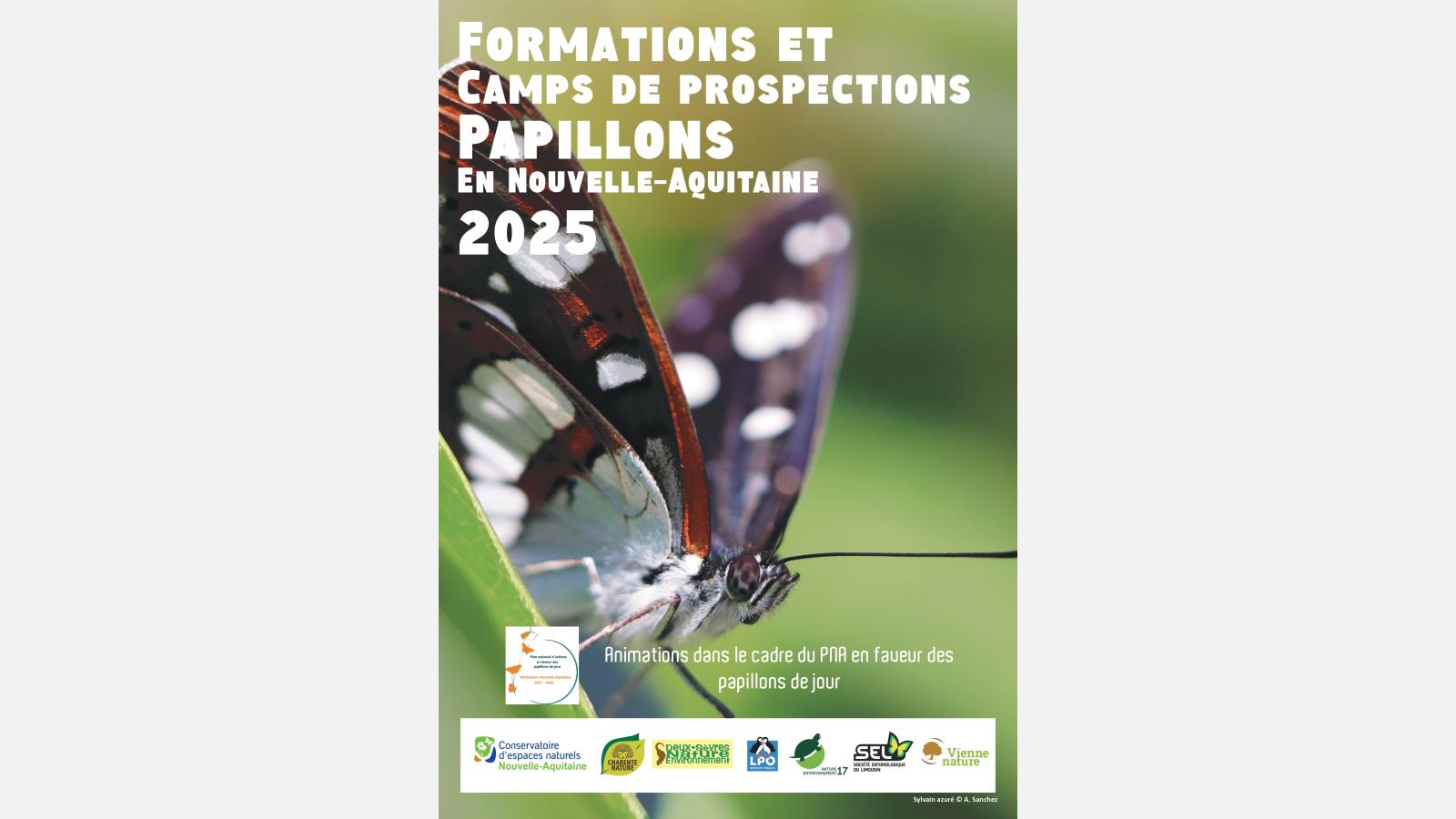 Formations et camps de prospections papillons en Nouvelle-Aquitaine, 2025. 1