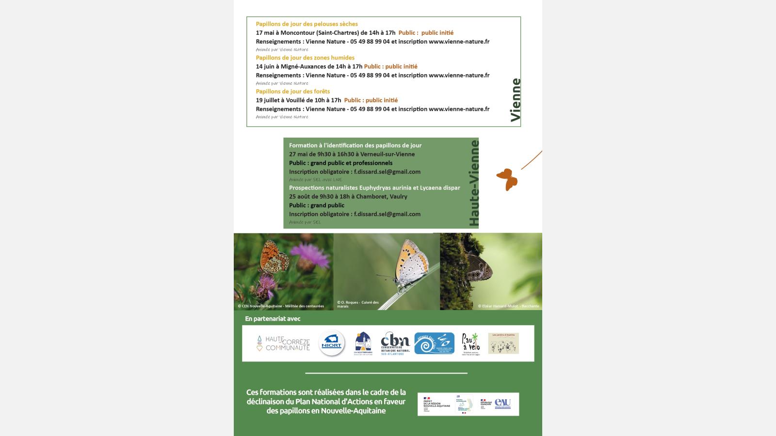 Formations et camps de prospections papillons en Nouvelle-Aquitaine, 2025. 4