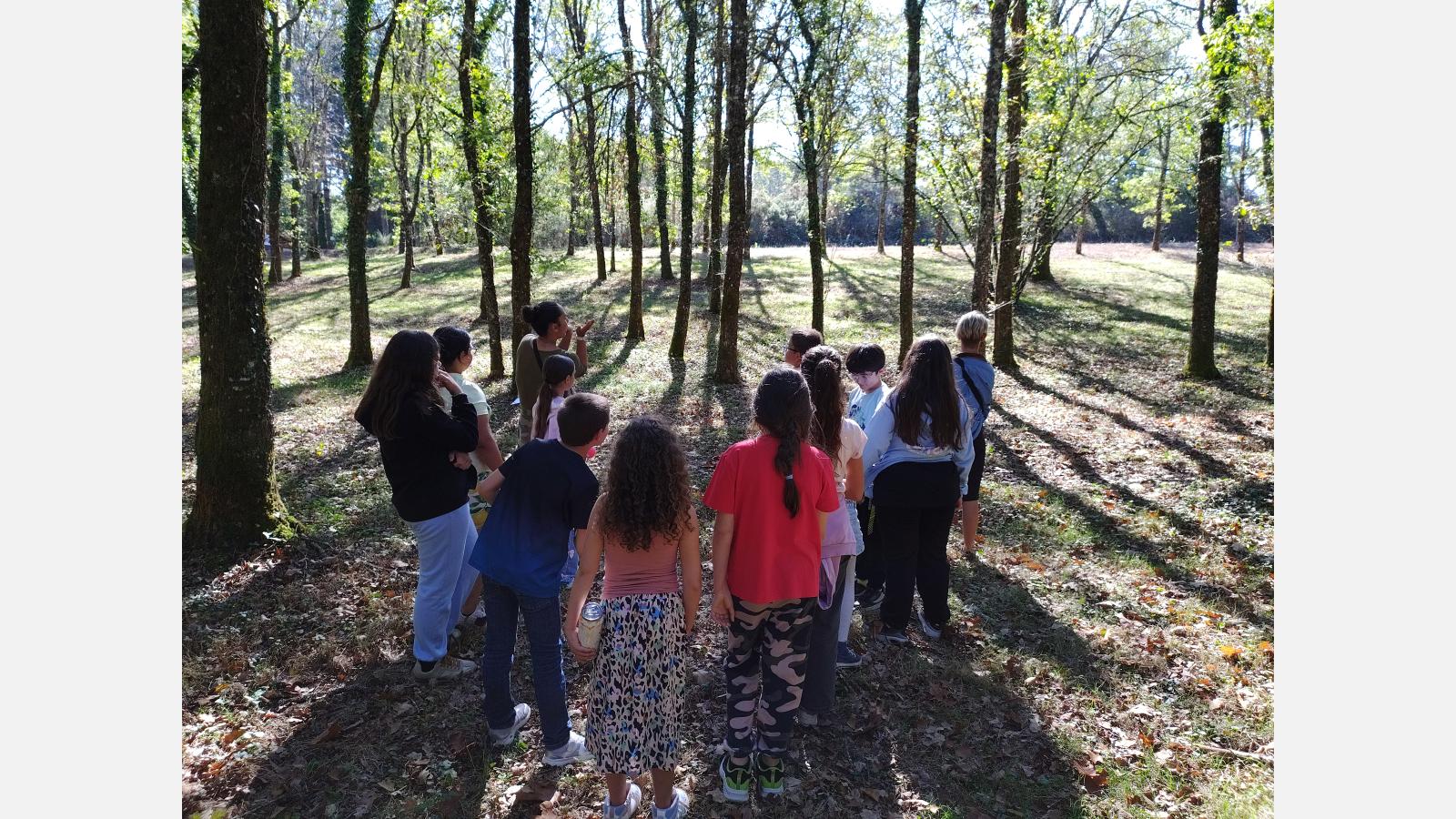 Photo prise pendant l'animation #4